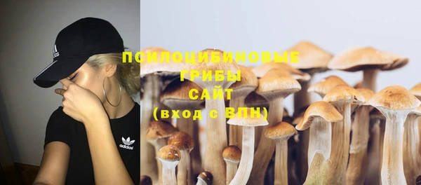 молекула духа Алзамай
