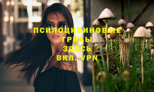 молекула духа Алзамай
