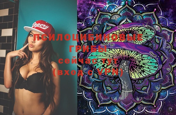 молекула духа Алзамай