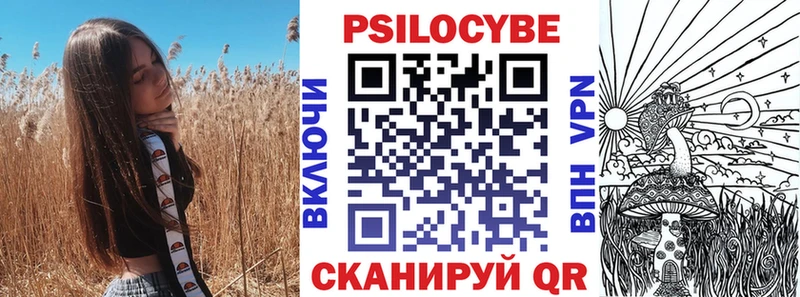 Галлюциногенные грибы мицелий  закладки  Дзержинск 