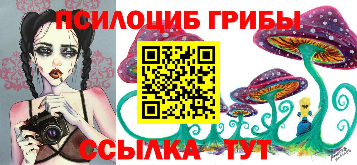 Галлюциногенные грибы Cubensis Дзержинск